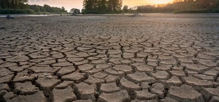 8 municipios se ven afectados por la sequía.