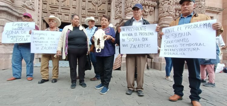 Viaja caravana de frijoleros de Zacatecas a la Ciudad de México