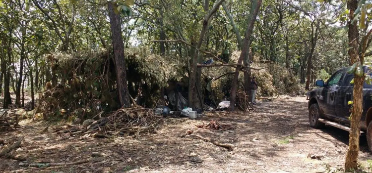 Personas liberadas construían campamentos para delincuentes Personas liberadas construían campamentos para delincuentes