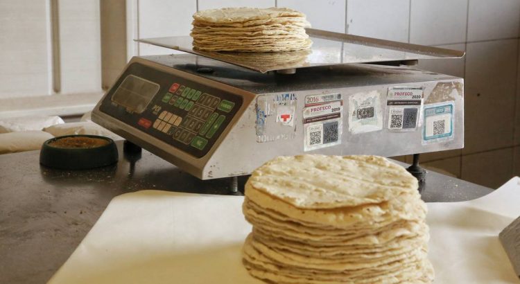 Industria de la tortilla está en crisis