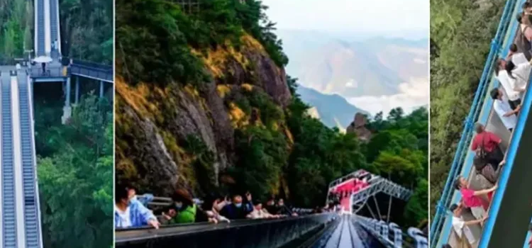 Instalaron escaleras mecánicas en una montaña Instalaron escaleras mecánicas en una montaña