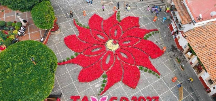 Inauguran la Flor Monumental de Nochebuena en Taxco Inauguran la Flor Monumental de Nochebuena en Taxco