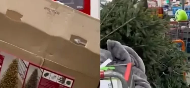 Están regresando los arbolitos a la tienda … en enero Están regresando los arbolitos a la tienda … en enero