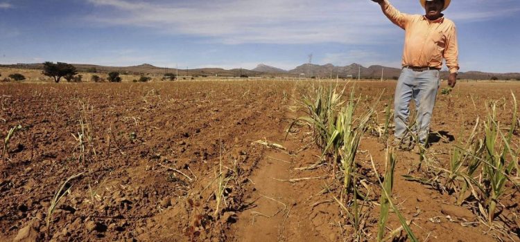 Hay crisis de agua en Zacatecas