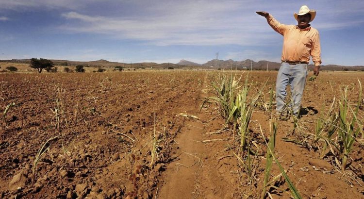 Hay crisis de agua en Zacatecas