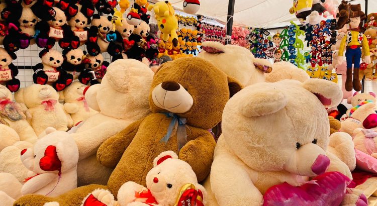 Realizarán Expo del Día del Amor y la Amistad
