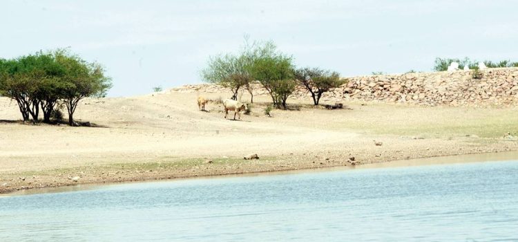 Registra Zacatecas fuerte sequía