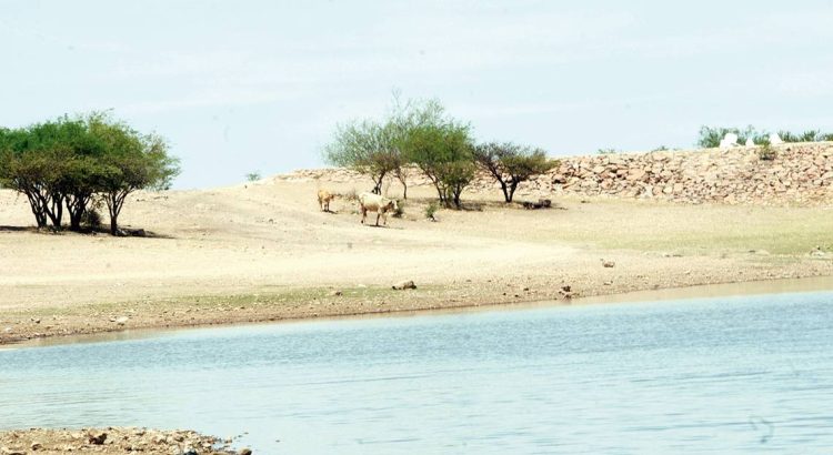 Registra Zacatecas fuerte sequía