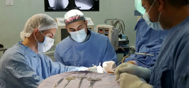 Realizan con éxito traslado de órganos