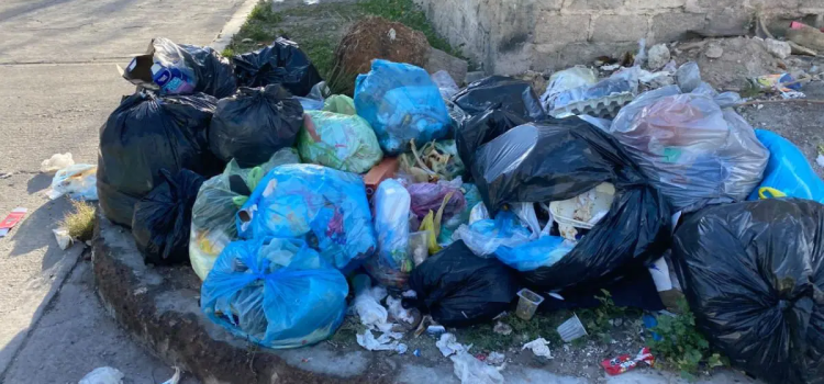 Reportan acumulación de basura en las calles