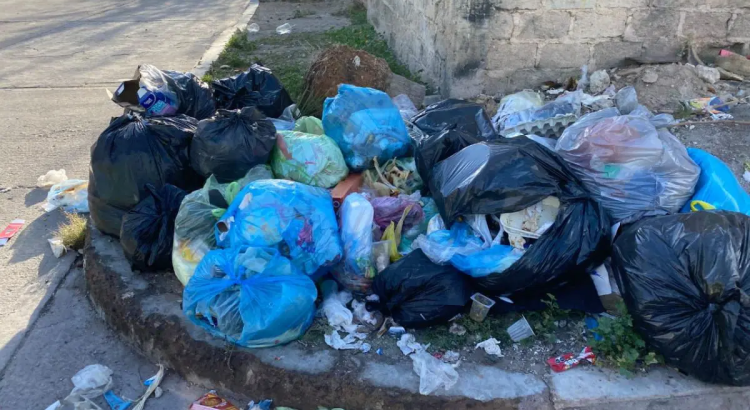 Reportan acumulación de basura en las calles