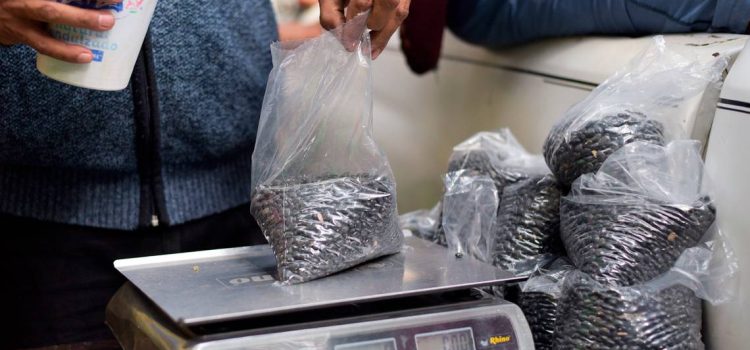 Autorizan aumento al precio de garantía del frijol