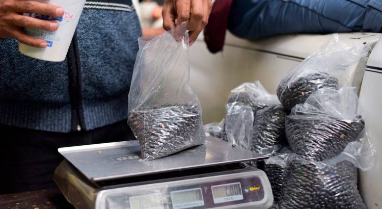 Autorizan aumento al precio de garantía del frijol