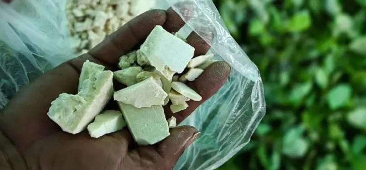 Colombia registró un aumento récord en la producción de cocaína: ONU Colombia registró un aumento récord en la producción de cocaína: ONU