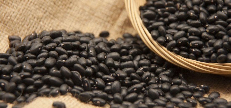 Piden productores flexibilizar reglas de Segalmex