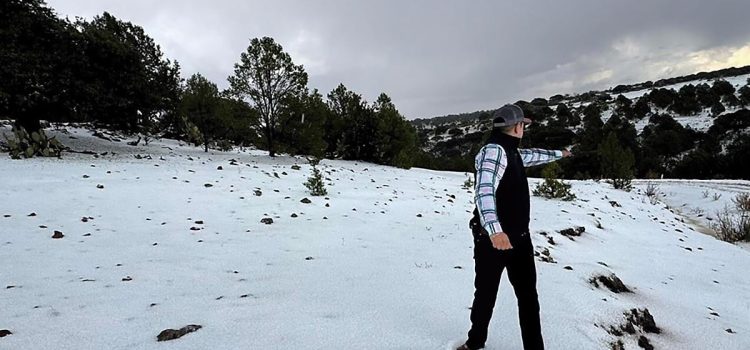 Sorprende nevada a ciudadanos de Valparaíso, Zacatecas