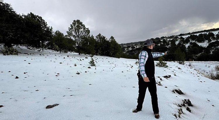 Sorprende nevada a ciudadanos de Valparaíso, Zacatecas