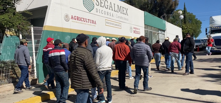 Productores prometen acciones ante el incumplimiento de Segalmex