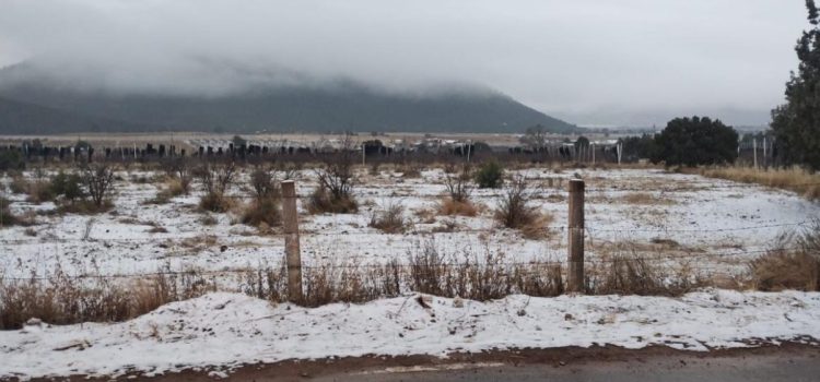 Nieva en las zonas de Juan Aldama y Miguel Auza
