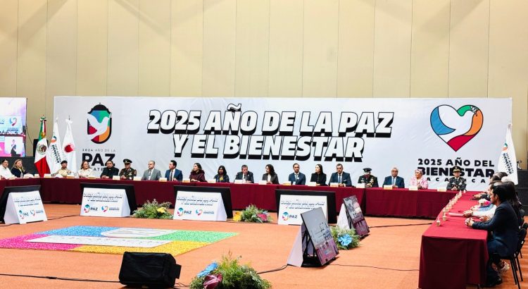 En marcha el “2025 Año de la Paz y el Bienestar”