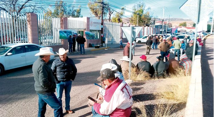 Productores agrícolas exigen subsidio eléctrico