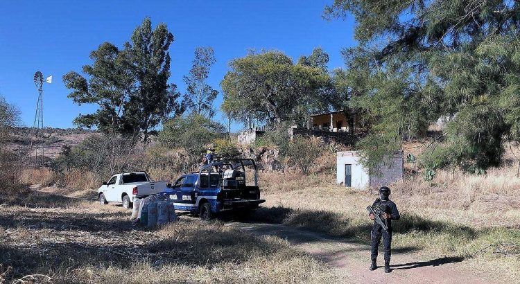 Confirman la muerte de madre buscadora