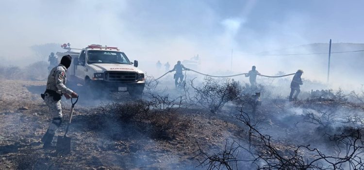 Reportan incendios forestales en cuatro municipios