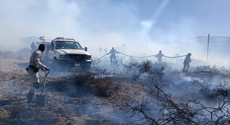 Reportan incendios forestales en cuatro municipios