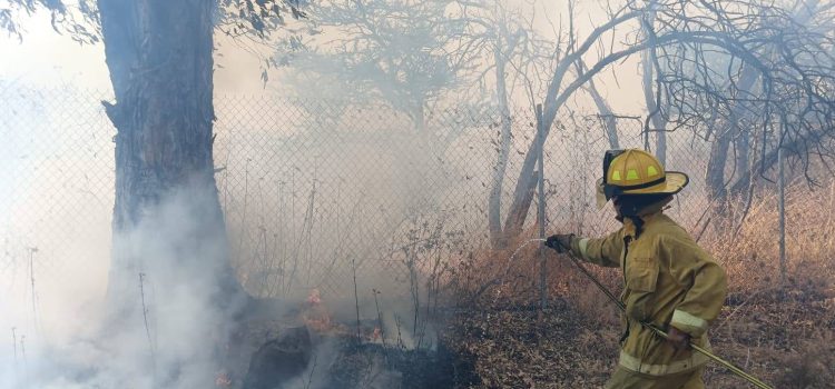 Fue controlado el incendio forestal en San Ramón de Guadalupe