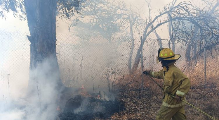 Fue controlado el incendio forestal en San Ramón de Guadalupe