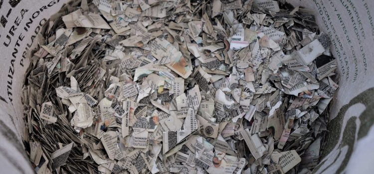 INE destruye mil 126 credenciales de elector