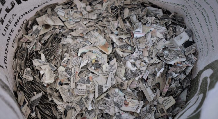 INE destruye mil 126 credenciales de elector
