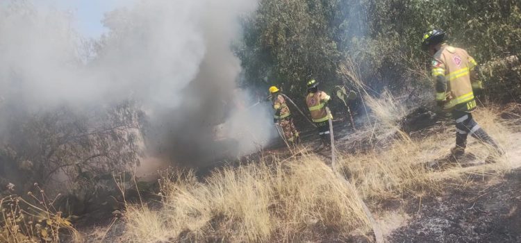 Aumentan incendios en Zacatecas