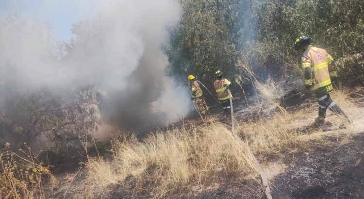 Aumentan incendios en Zacatecas