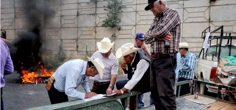 Segalmex incumple a productores de frijol
