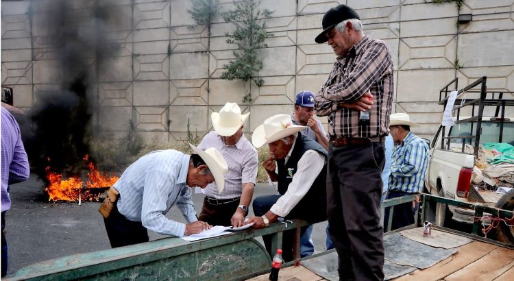 Segalmex incumple a productores de frijol