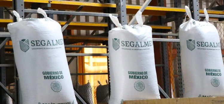 Reabre Segalmex sus centros de acopio de frijol en Zacatecas