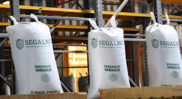 Reabre Segalmex sus centros de acopio de frijol en Zacatecas