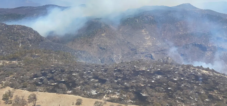 Buscan sofocar el incendio en Tepechitlán