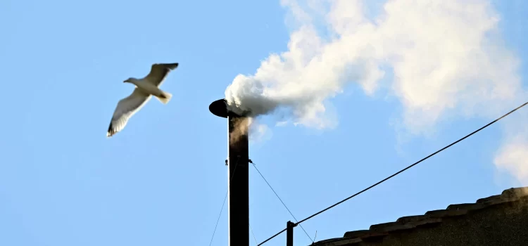 ¡Habemus papam! Revelan humo blanco en el Vaticano
