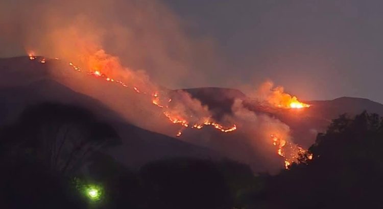 Sigue el incendio forestal en Sierra de Morones