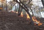 Avanza el control del incendio forestal en Sierra de Morones