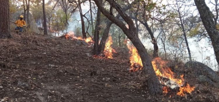 Avanza el control del incendio forestal en Sierra de Morones Avanza el control del incendio forestal en Sierra de Morones