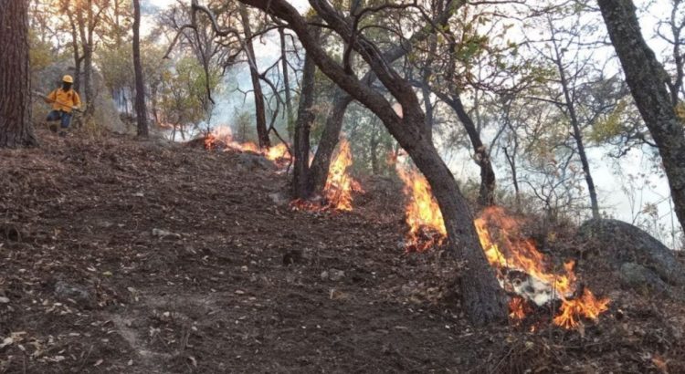 Avanza el control del incendio forestal en Sierra de Morones