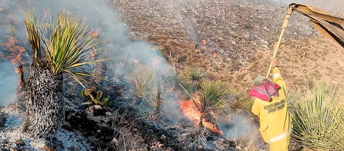 Siguen sin control incendios en Tlaltenango y Villa de Cos