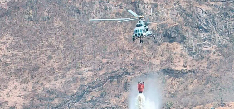 Sofocan el incendio forestal en Sierra de Morones