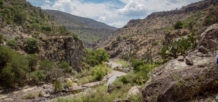 Piden avance en la realización de la presa Milpillas: Conagua Piden avance en la realización de la presa Milpillas: Conagua