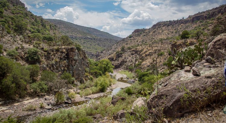 Piden avance en la realización de la presa Milpillas: Conagua