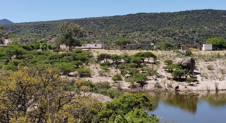 Proyecto Milpillas no va si la gente no quiere: Gobernador de Zacatecas