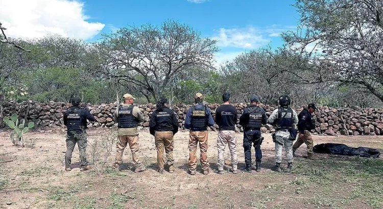 Localizan fosa clandestina y plantas de marihuana en El Jagüey